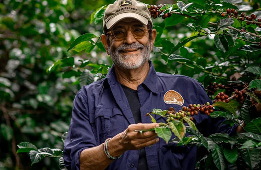 PANAMA - FINCA AUROMAR FIRESTONE - GESHA - WASHED - 100G