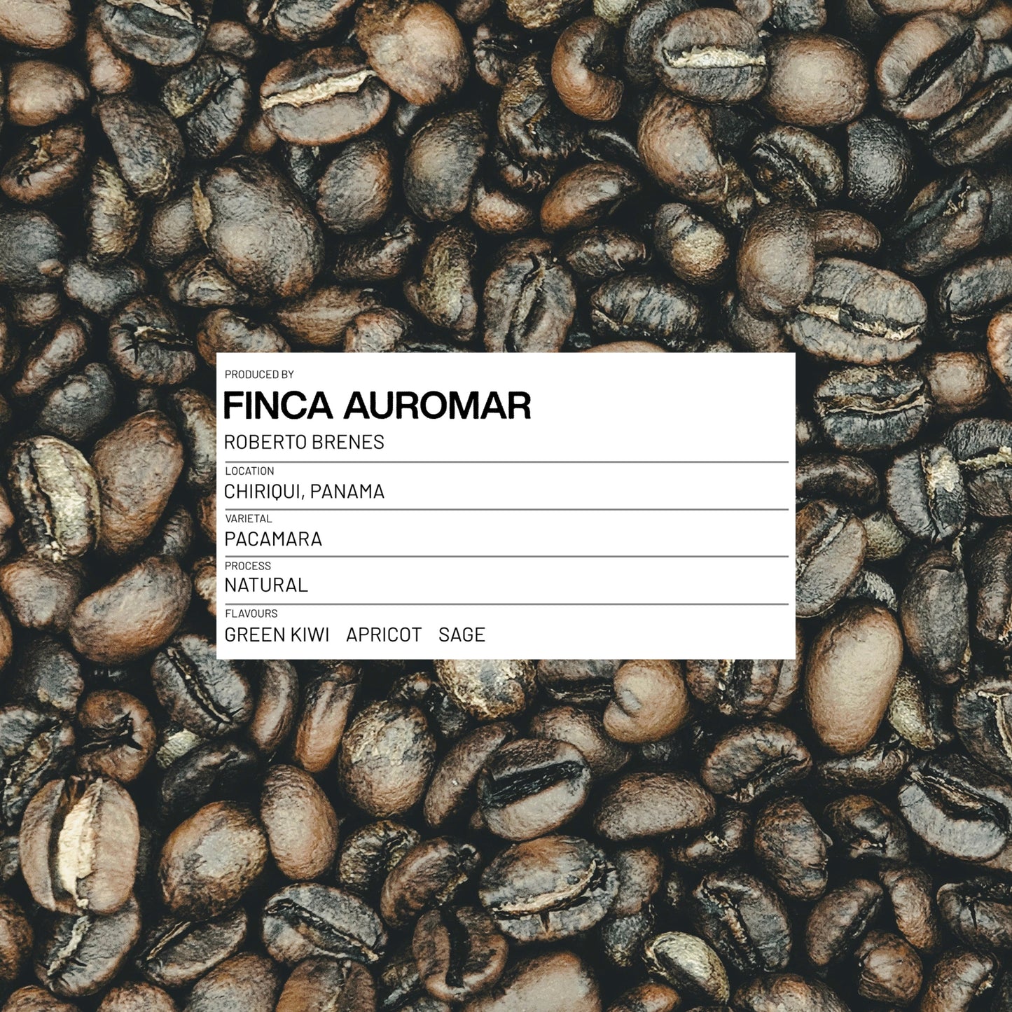 12 - PANAMA - FINCA AUROMAR - PACAMARA - NATURAL - 100G