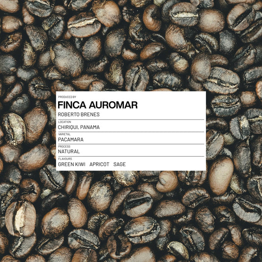 12 - PANAMA - FINCA AUROMAR - PACAMARA - NATURAL - 100G