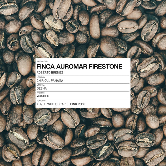 PANAMA - FINCA AUROMAR FIRESTONE - GESHA - WASHED - 100G
