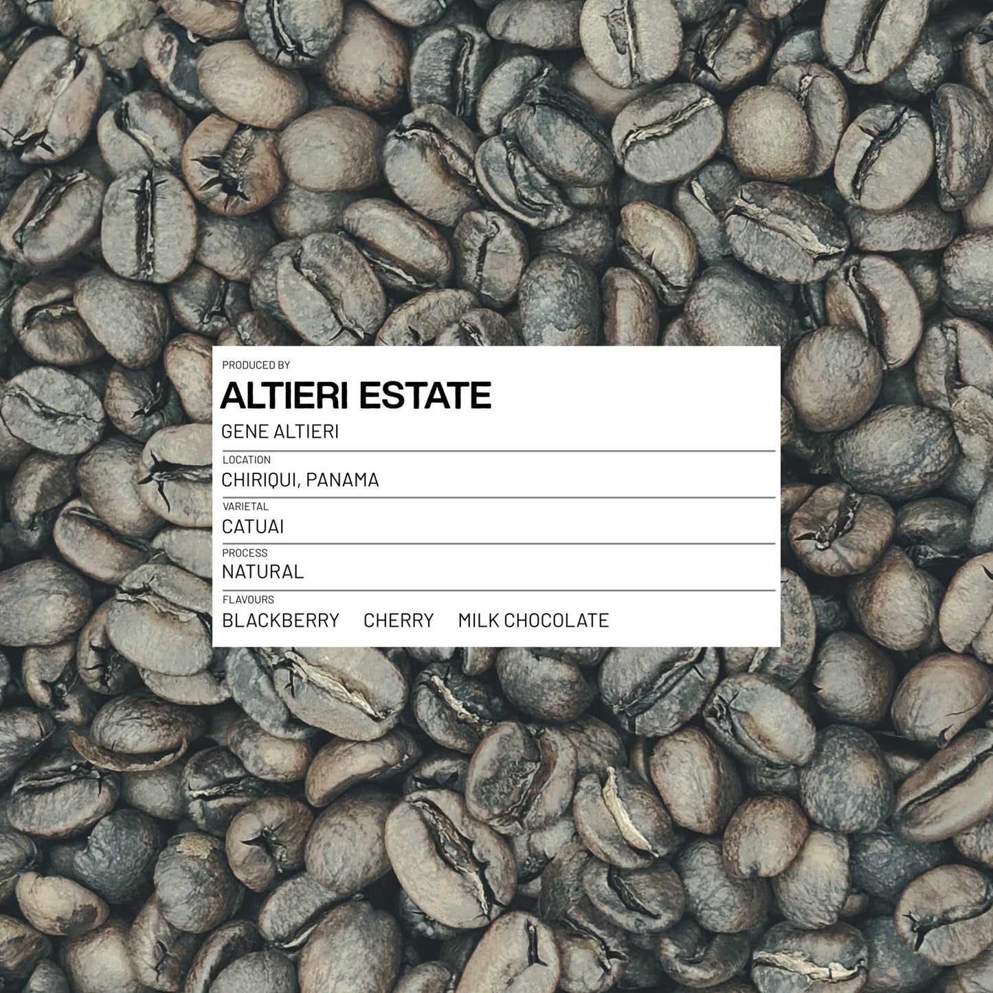 PANAMA - ALTIERI ESTATE ROLA - CATUAI - NATURAL - 100G