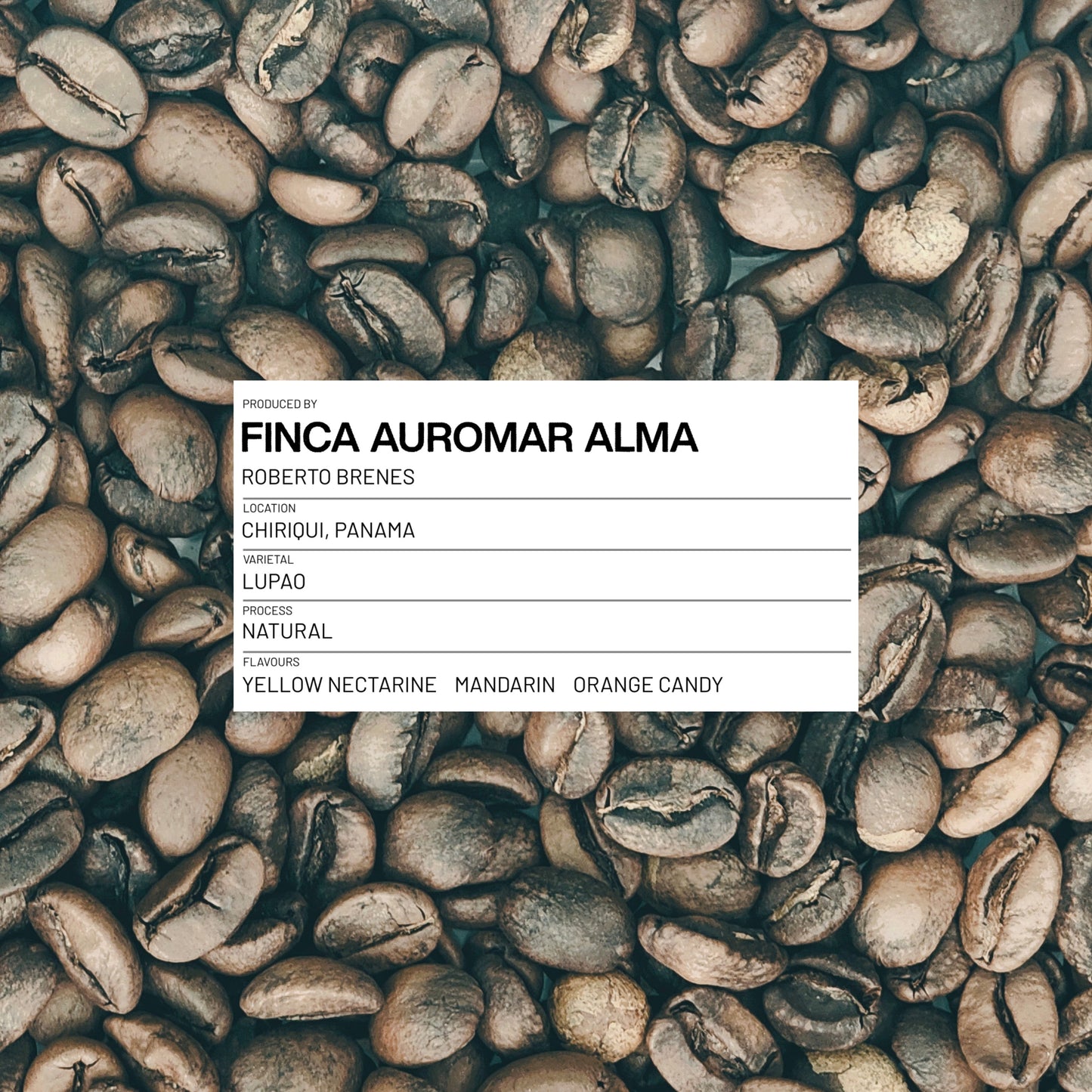 PANAMA - FINCA AUROMAR ALMA - LUPAO - NATURAL - 100G