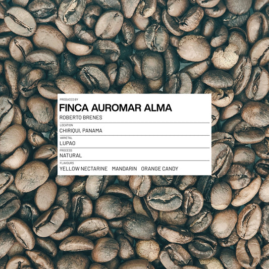 PANAMA - FINCA AUROMAR ALMA - LUPAO - NATURAL - 100G