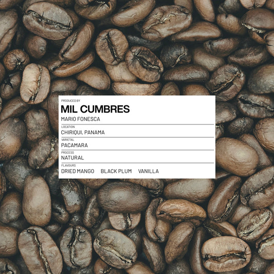 14 - PANAMA - MIL CUMBRES - PACAMARA - NATURAL - 100G